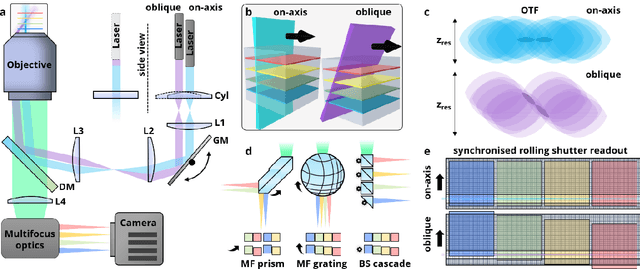 Figure 1 for Multifocus microscopy with optically sectioned axial superresolution