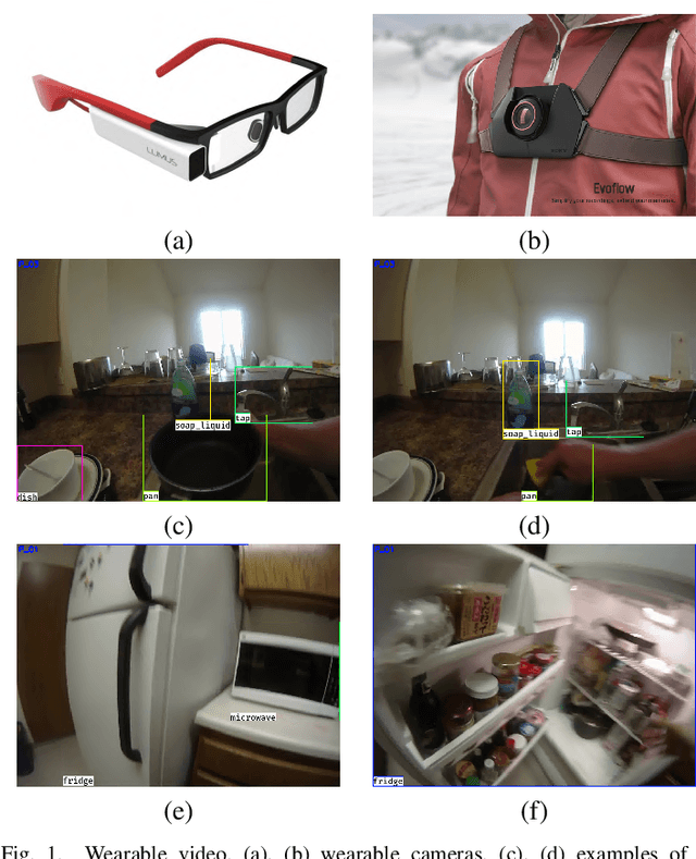 Figure 1 for Performance of object recognition in wearable videos