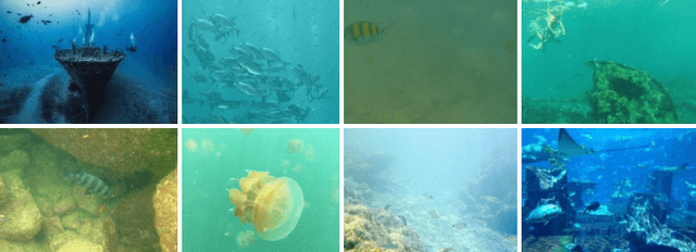 Figure 1 for Underwater Image Enhancement via Learning Water Type Desensitized Representations