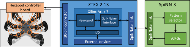 Figure 1 for NeuroPod: a real-time neuromorphic spiking CPG applied to robotics