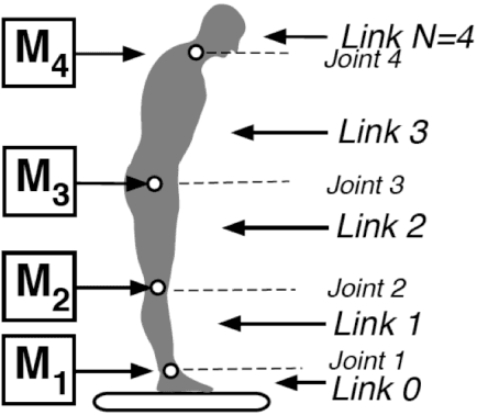 Figure 2 for A Bio-inspired Modular System for Humanoid Posture Control