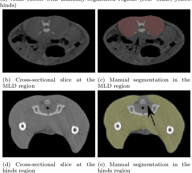 Figure 1 for A general technique for the estimation of farm animal body part weights from CT scans and its applications in a rabbit breeding program