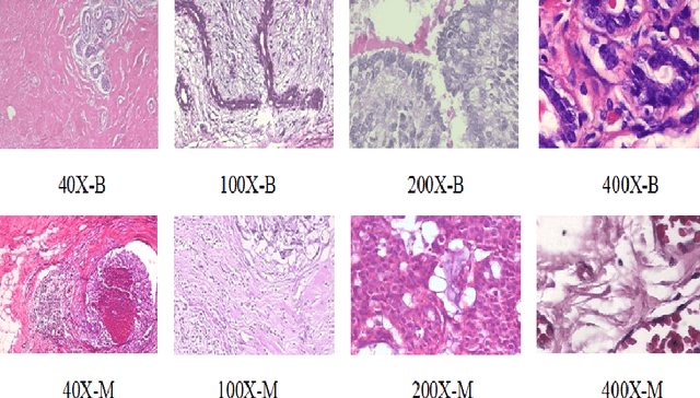 Figure 1 for C-Net: A Reliable Convolutional Neural Network for Biomedical Image Classification