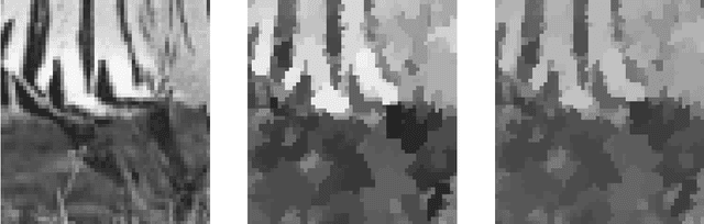 Figure 4 for Convex Variational Image Restoration with Histogram Priors