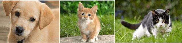 Figure 2 for SdcNet: A Computation-Efficient CNN for Object Recognition