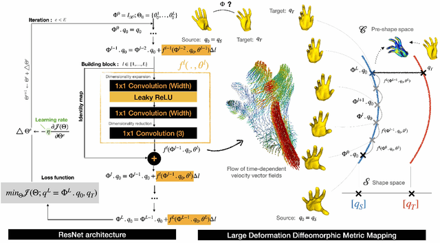 Figure 1 for ResNet-LDDMM: Advancing the LDDMM Framework Using Deep Residual Networks