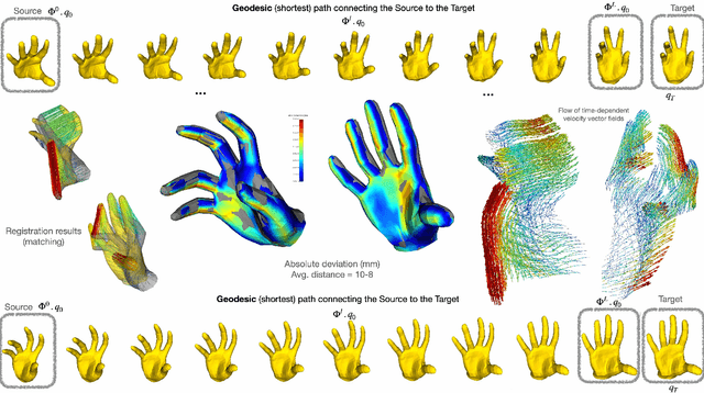 Figure 3 for ResNet-LDDMM: Advancing the LDDMM Framework Using Deep Residual Networks