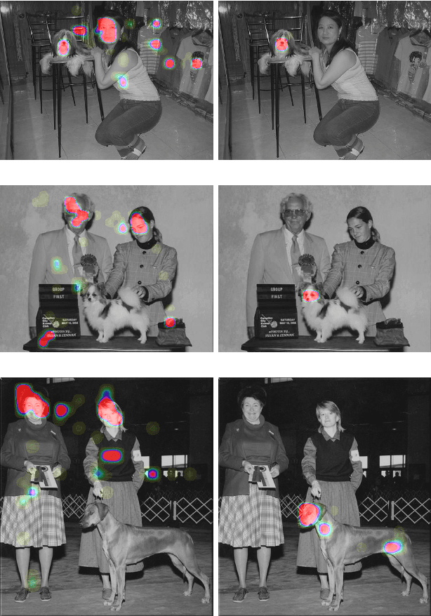 Figure 1 for Top-Down Saliency Detection Driven by Visual Classification