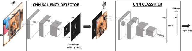 Figure 3 for Top-Down Saliency Detection Driven by Visual Classification