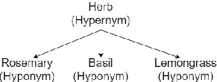 Figure 1 for UMDuluth-CS8761 at SemEval-2018 Task 9: Hypernym Discovery using Hearst Patterns, Co-occurrence frequencies and Word Embeddings