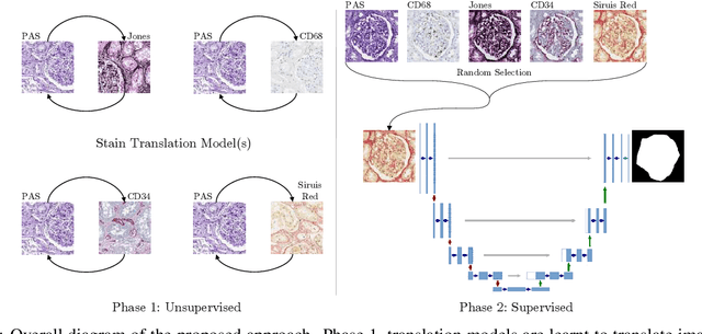 Figure 3 for Towards Histopathological Stain Invariance by Unsupervised Domain Augmentation using Generative Adversarial Networks