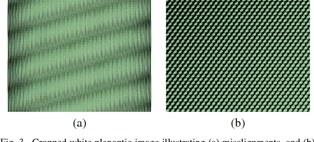 Figure 3 for Motion Deblurring for Plenoptic Images