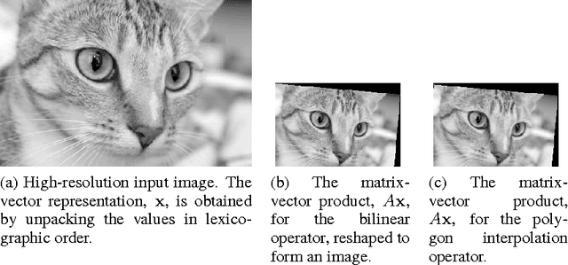 Figure 4 for A polygon-based interpolation operator for super-resolution imaging