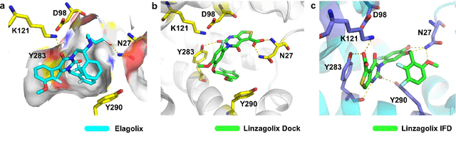 Figure 3 for A Ligand-and-structure Dual-driven Deep Learning Method for the Discovery of Highly Potent GnRH1R Antagonist to treat Uterine Diseases