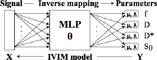 Figure 1 for Implicit Modeling with Uncertainty Estimation for Intravoxel Incoherent Motion Imaging