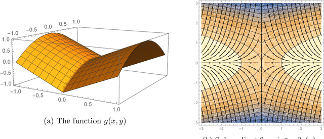 Figure 3 for Active strict saddles in nonsmooth optimization