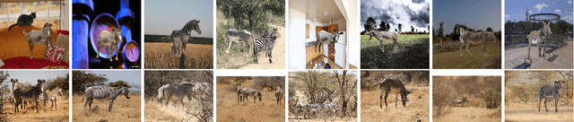 Figure 3 for Three-D Safari: Learning to Estimate Zebra Pose, Shape, and Texture from Images "In the Wild"