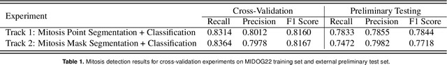 Figure 2 for Stain-Robust Mitotic Figure Detection for MIDOG 2022 Challenge