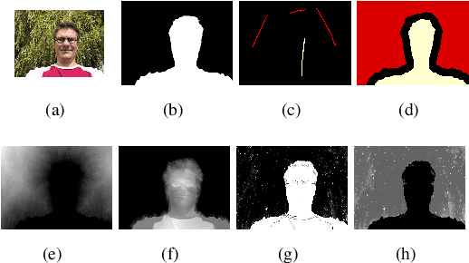 Figure 3 for An Efficient Decomposition Framework for Discriminative Segmentation with Supermodular Losses
