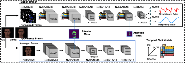 Figure 3 for Multi-Task Temporal Shift Attention Networks for On-Device Contactless Vitals Measurement