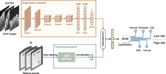 Figure 1 for Computer-Aided Diagnosis of Label-Free 3-D Optical Coherence Microscopy Images of Human Cervical Tissue