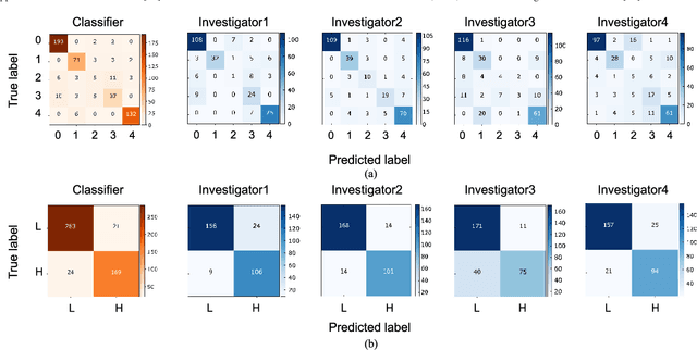 Figure 2 for Computer-Aided Diagnosis of Label-Free 3-D Optical Coherence Microscopy Images of Human Cervical Tissue