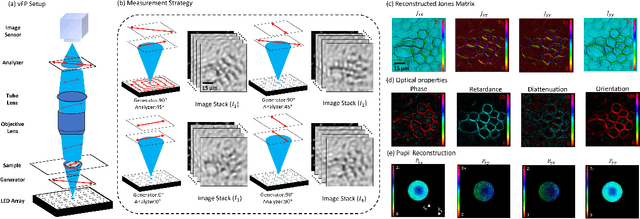 Figure 1 for Quantitative Jones matrix imaging using vectorial Fourier ptychography