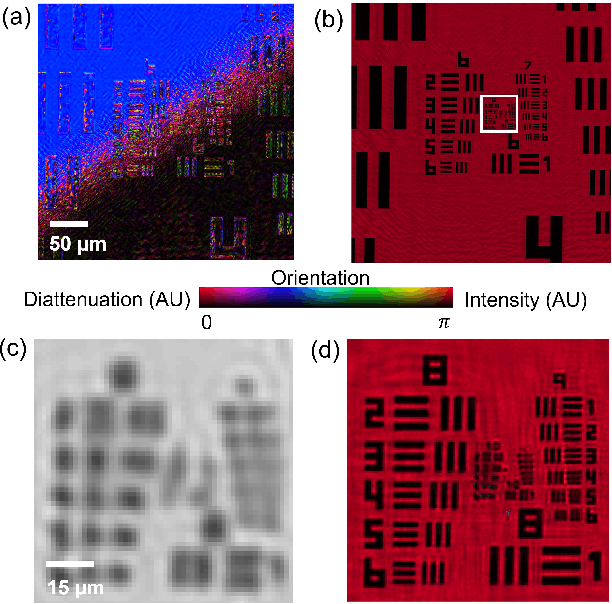 Figure 2 for Quantitative Jones matrix imaging using vectorial Fourier ptychography