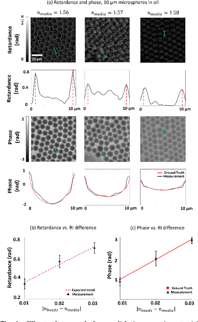Figure 4 for Quantitative Jones matrix imaging using vectorial Fourier ptychography