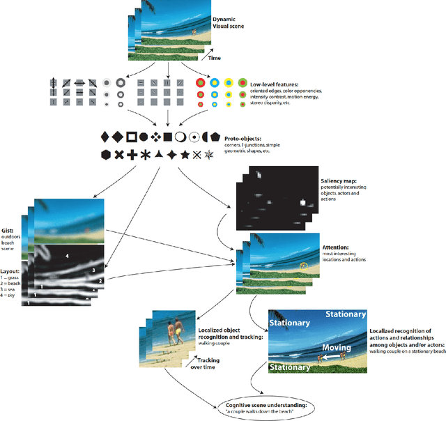 Figure 1 for Computational models: Bottom-up and top-down aspects