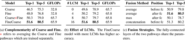 Figure 4 for Video Classification with FineCoarse Networks