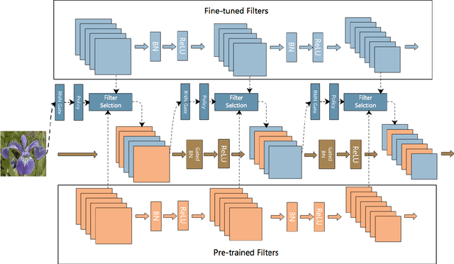 Figure 1 for AdaFilter: Adaptive Filter Fine-tuning for Deep Transfer Learning