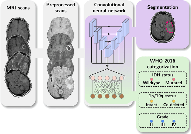 Figure 1 for WHO 2016 subtyping and automated segmentation of glioma using multi-task deep learning
