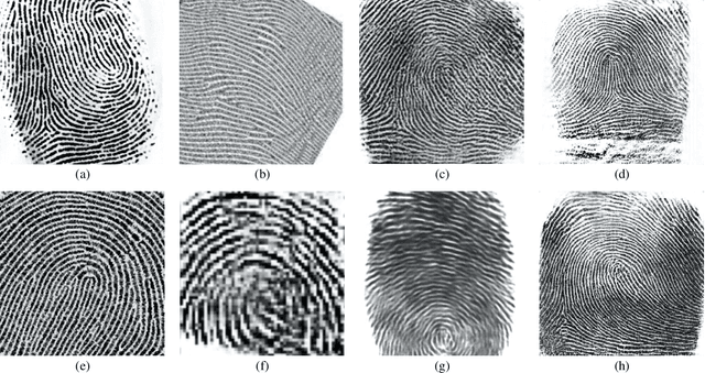 Figure 2 for Fingerprint Synthesis: Search with 100 Million Prints