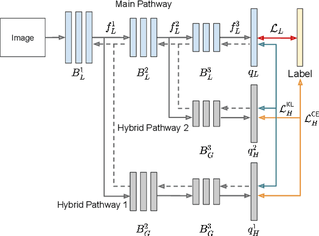 Figure 1 for Multi-Level Branched Regularization for Federated Learning