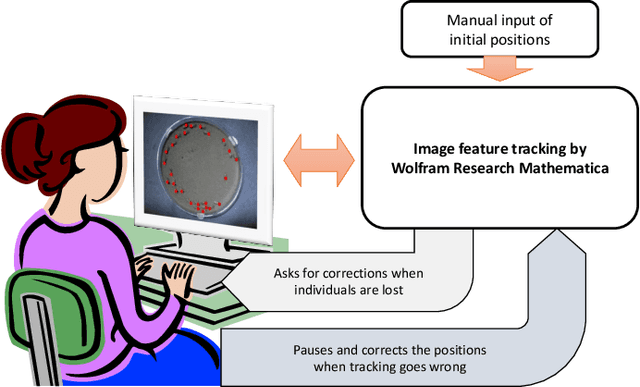 Figure 2 for Robust Tracking and Behavioral Modeling of Movements of Biological Collectives from Ordinary Video Recordings