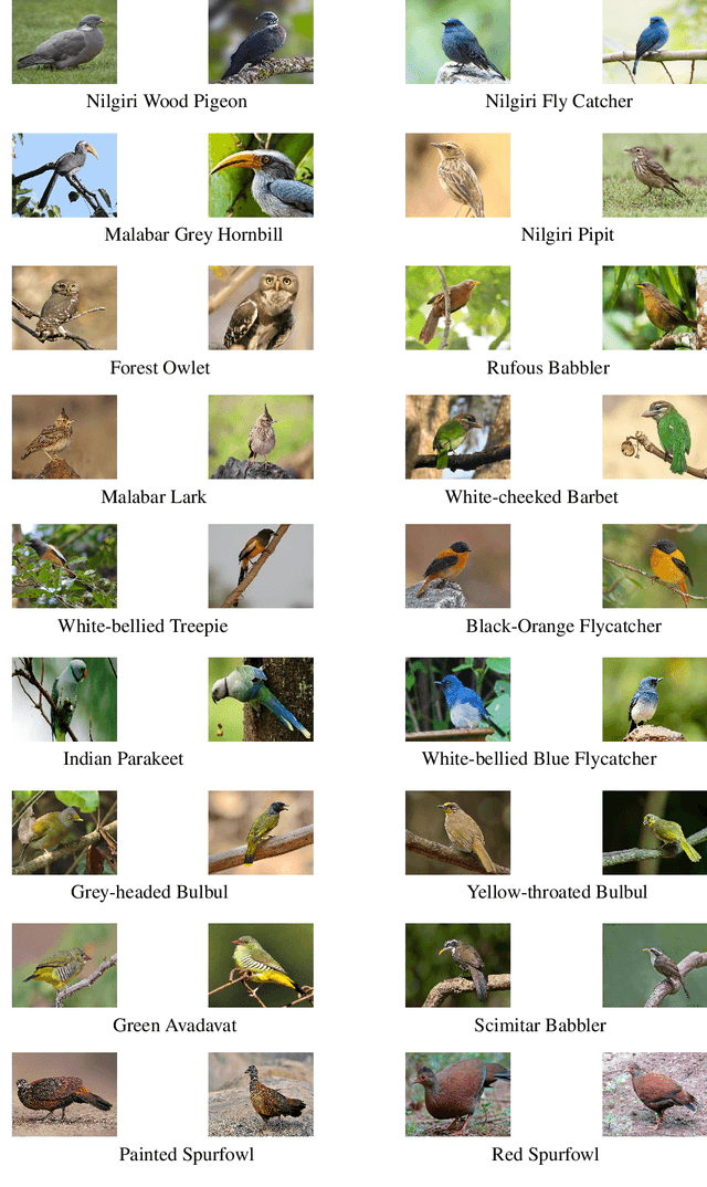 Figure 3 for PProCRC: Probabilistic Collaboration of Image Patches