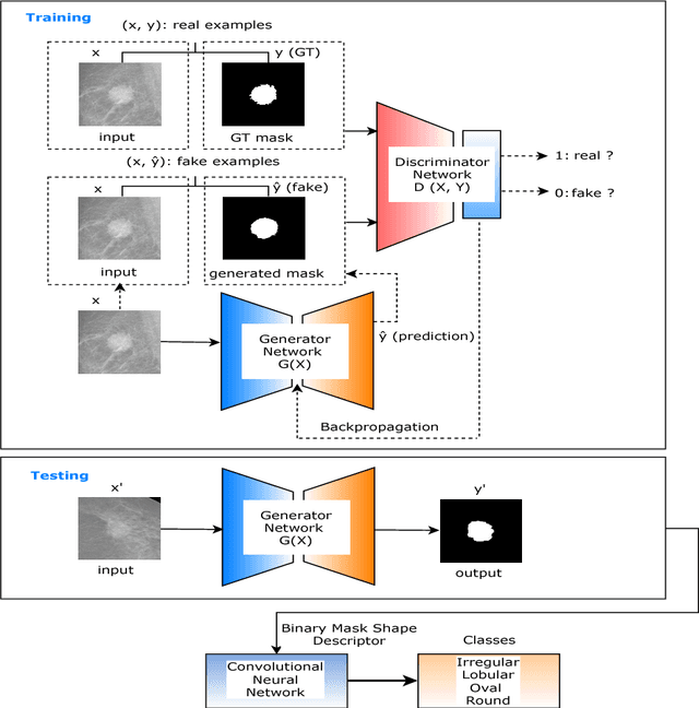 Figure 1 for Conditional Generative Adversarial and Convolutional Networks for X-ray Breast Mass Segmentation and Shape Classification