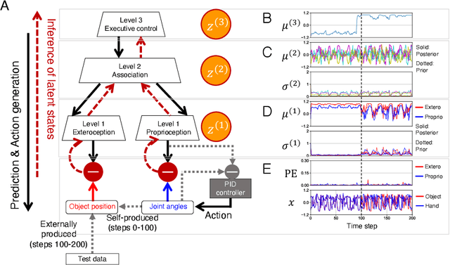 Figure 2 for Sensory attenuation develops as a result of sensorimotor experience