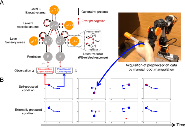 Figure 1 for Sensory attenuation develops as a result of sensorimotor experience