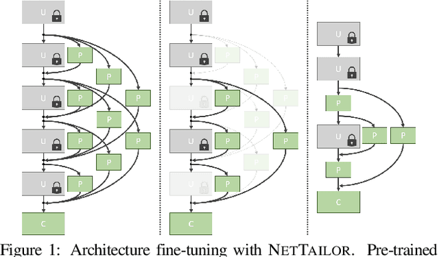 Figure 1 for NetTailor: Tuning the Architecture, Not Just the Weights