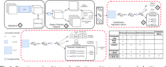 Figure 1 for Let's agree to disagree: learning highly debatable multirater labelling