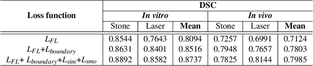 Figure 4 for Multi-class motion-based semantic segmentation for ureteroscopy and laser lithotripsy