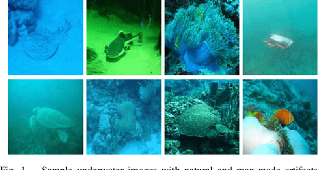Figure 1 for Enhancing Underwater Imagery using Generative Adversarial Networks