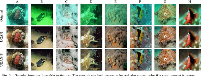 Figure 3 for Enhancing Underwater Imagery using Generative Adversarial Networks