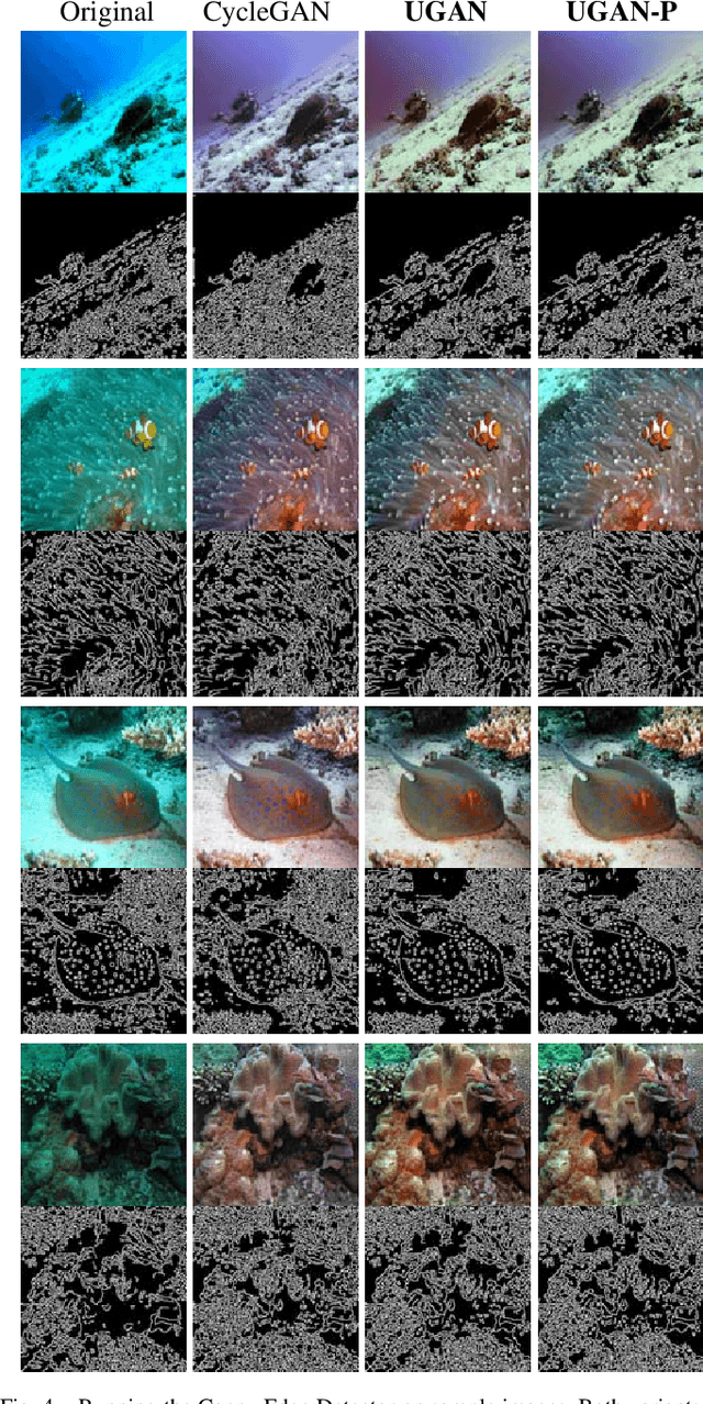 Figure 4 for Enhancing Underwater Imagery using Generative Adversarial Networks