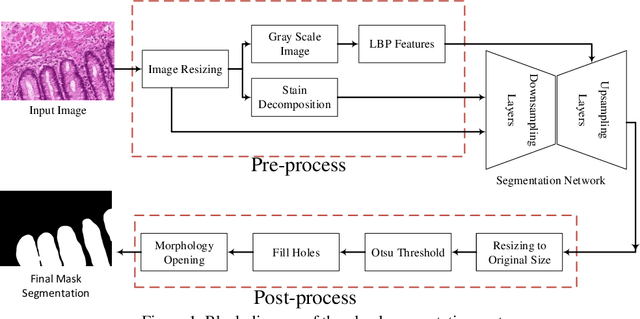 Figure 1 for Gland Segmentation in Histopathology Images Using Deep Networks and Handcrafted Features