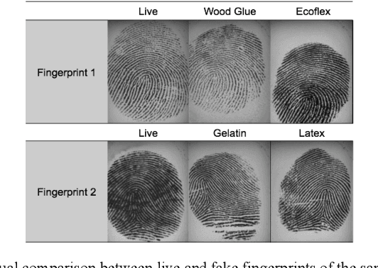 Figure 1 for Patch-based Fake Fingerprint Detection Using a Fully Convolutional Neural Network with a Small Number of Parameters and an Optimal Threshold