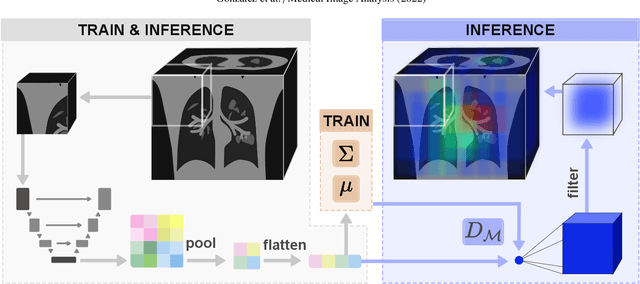 Figure 3 for Distance-based detection of out-of-distribution silent failures for Covid-19 lung lesion segmentation