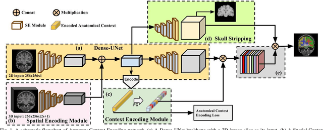 Figure 1 for ACEnet: Anatomical Context-Encoding Network for Neuroanatomy Segmentation